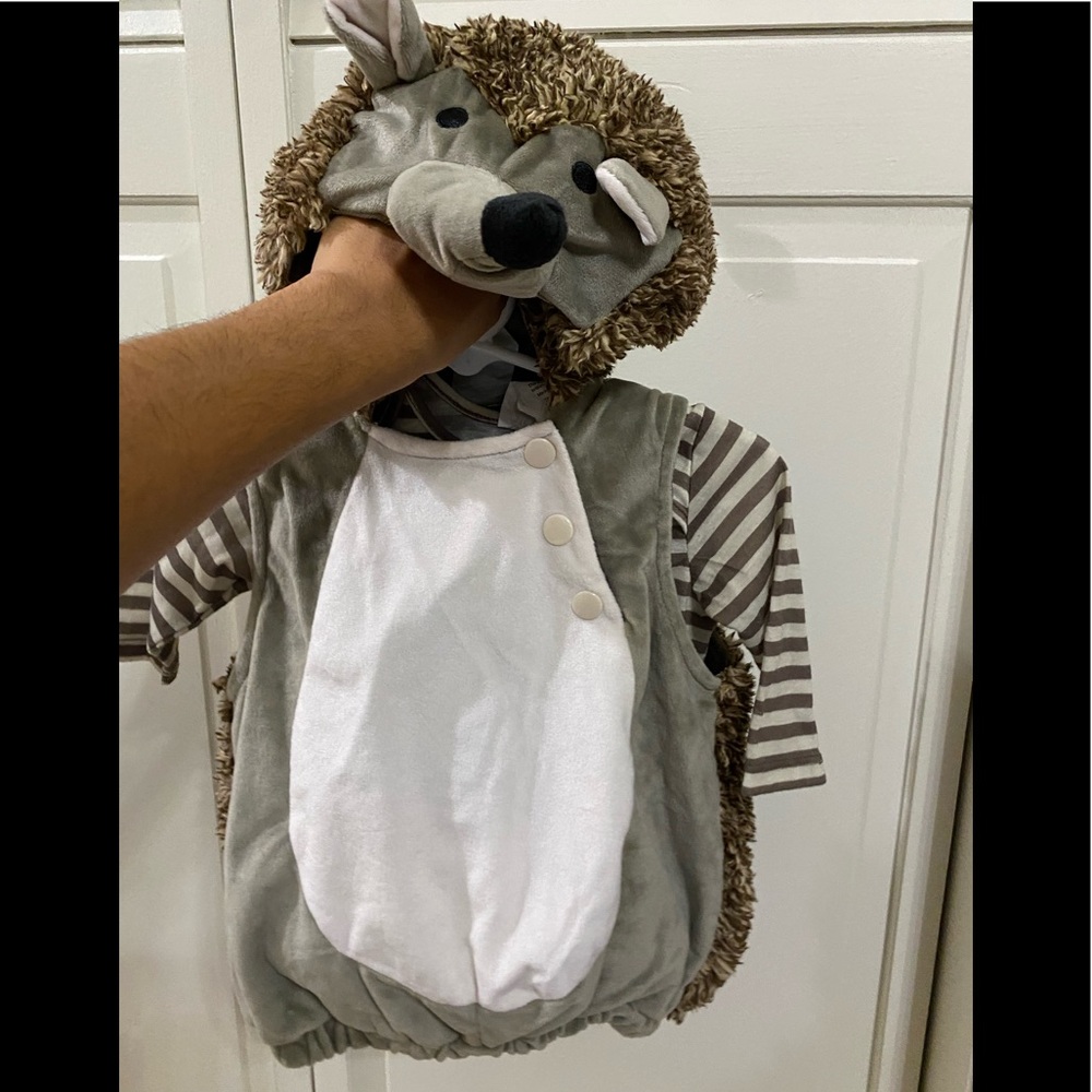Baby Hedgehog Costume